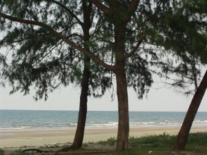 image gallery 1 300x225